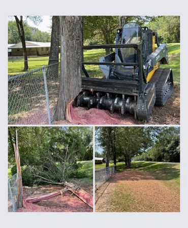 Stages of removing a tree from a fence line. 