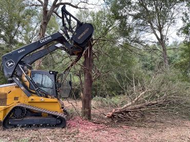 Process of mulching a tree down. 