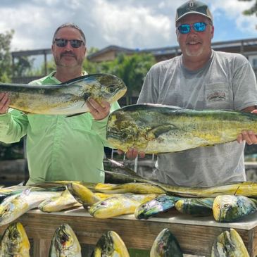 Mahi Mahi Florida Keys- Big Pine Fishing Charters