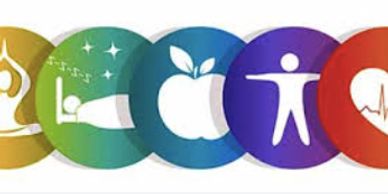 Colorful icons representing health, sleep, nutrition, fitness, and heart monitoring.