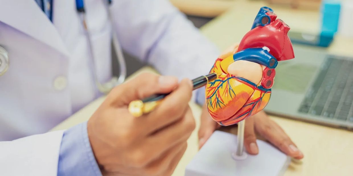 Specialist in diagnosing heart disease, providing expert assessments.
