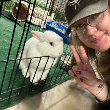 Person posing with a white rabbit in a cage.