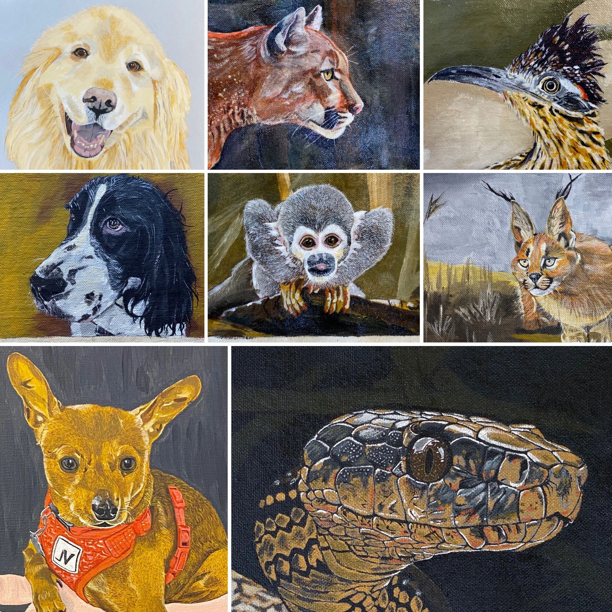 Pet Portraits