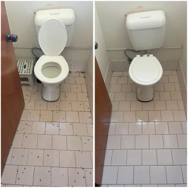 Before and after bathroom floor cleaning.