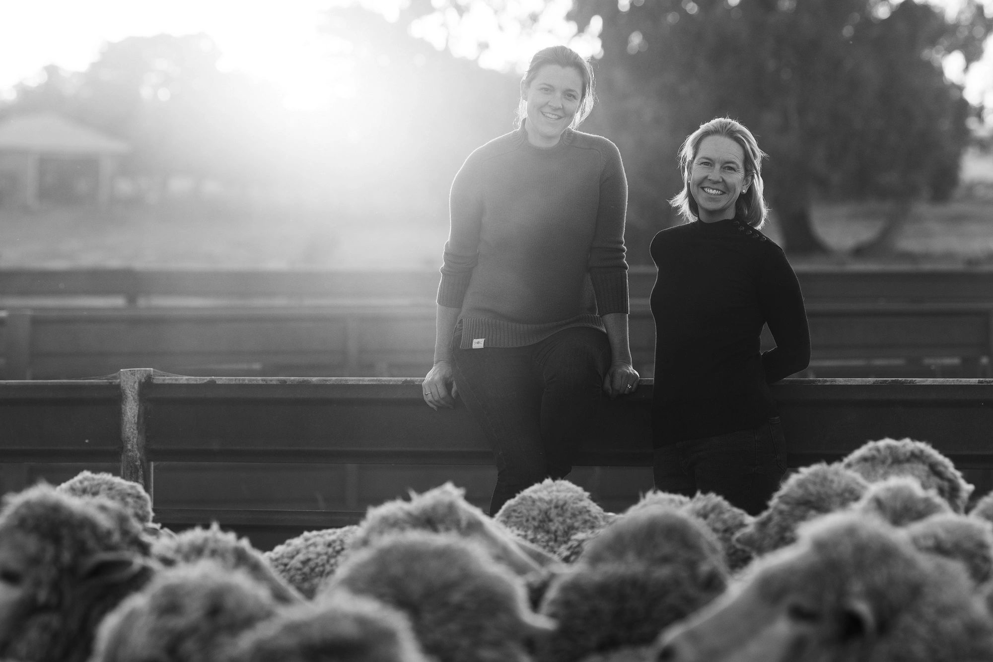 Women behind sheep in the Australian wool industry.