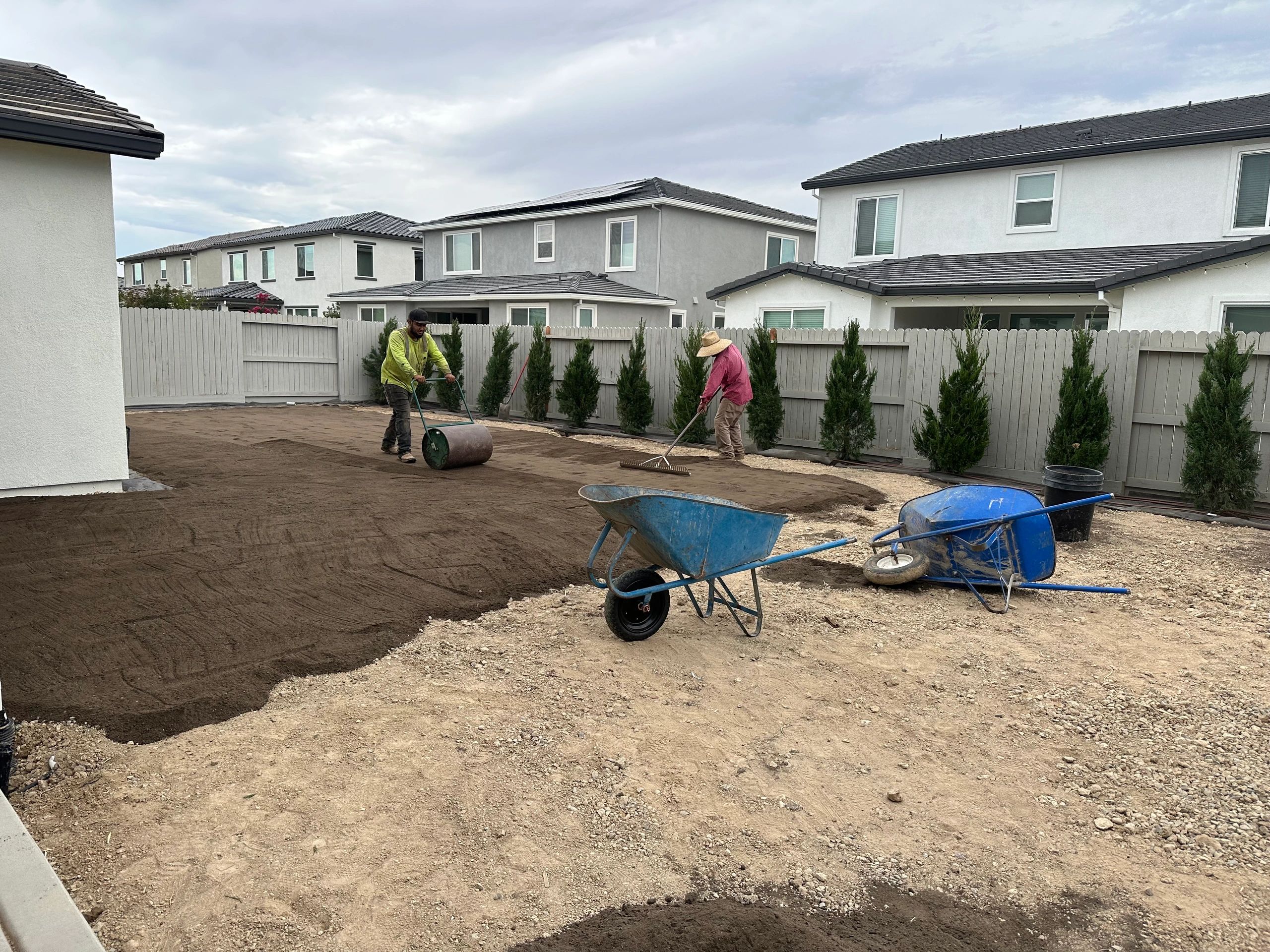 Installation of sod and trees in Roseville CA
