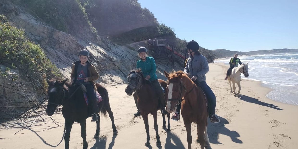Cintsa Horses on Cintsa Beach