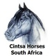 Cintsa Horses and the New Hampshire Rescue & Rehabilitation Cente