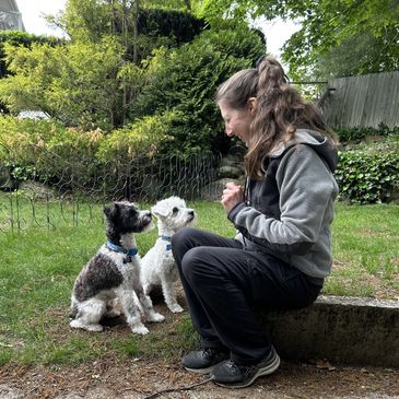 Woman training two attentive dogs in a garden.