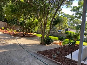 functional low maintenance landscaping