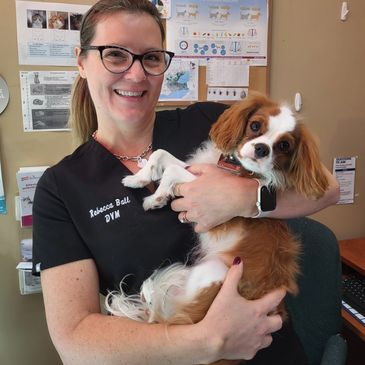 Veterinarian happily holding a Cavalier King Charles Spaniel.