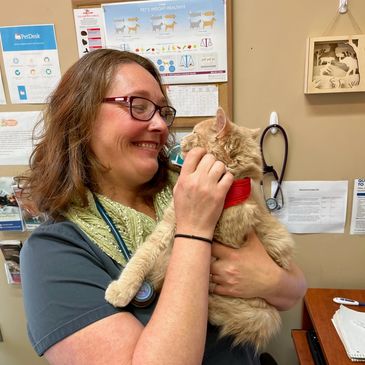Veterinarian holding and smiling at a cat in an exam room.