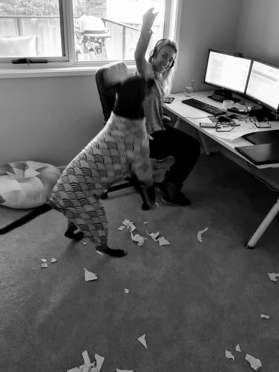 A dog in pyjamas jumping at the raised hand of a woman seated at a desk.