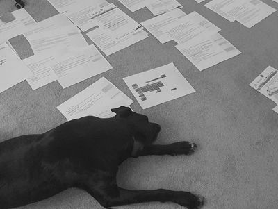 A large black dog lying next to scattered pages