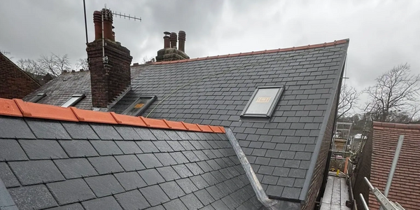 Roofs with dark slate tiles and chimneys under a cloudy sky.
