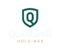 quantumbholdings.com
