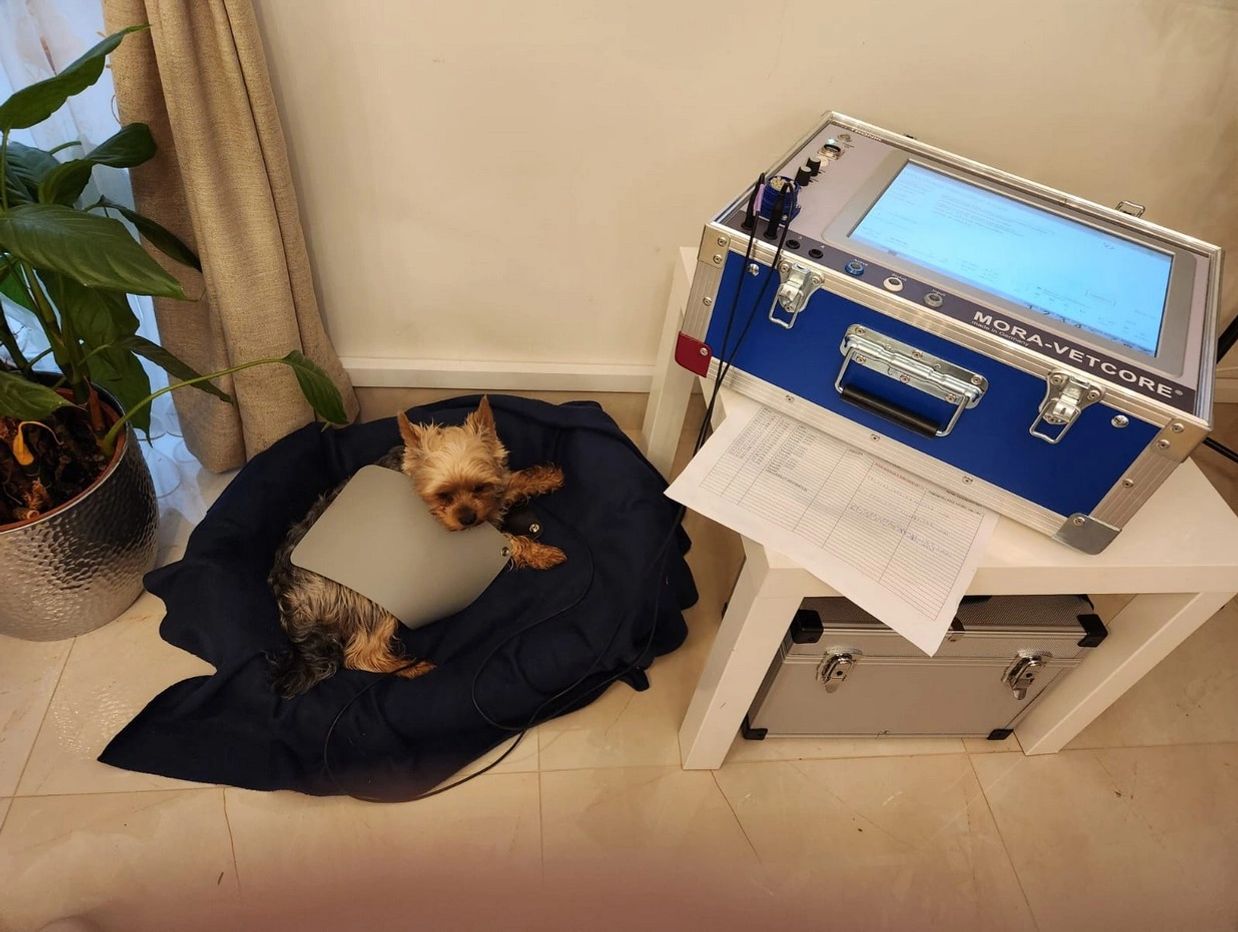 Mora Medtech UK Limited