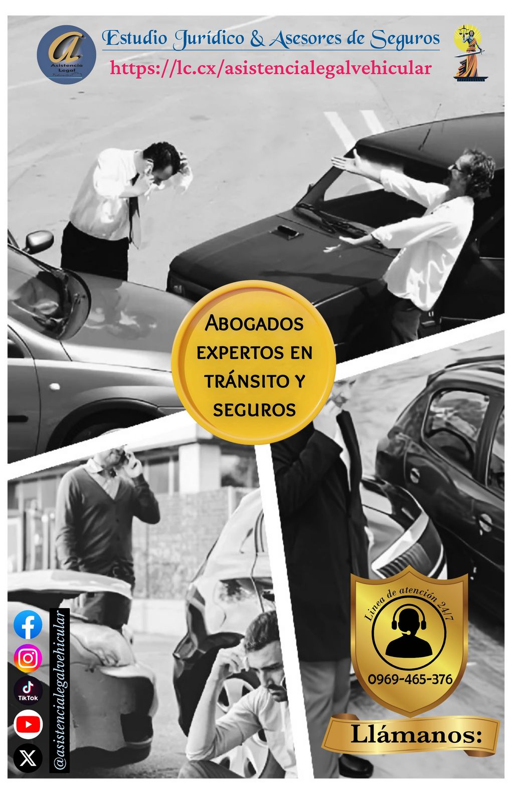 ASISTENCIA LEGAL IN SITU