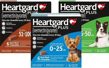 Heartgard Plus chewables for dogs of different weight ranges to prevent heartworms and other parasites.
