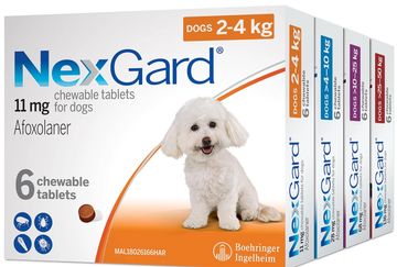 NexGard chewable tablets for dogs, weight-specific doses with Afoxolaner.