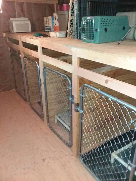 Indoor kennels at our facility located in Camp Verde Az 