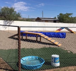 We have a wonderful play yard for the dogs at our facility.
