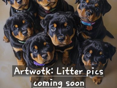 artwork ai image of 7 German rottweiler puppies  #84GotRotts, #18446876887