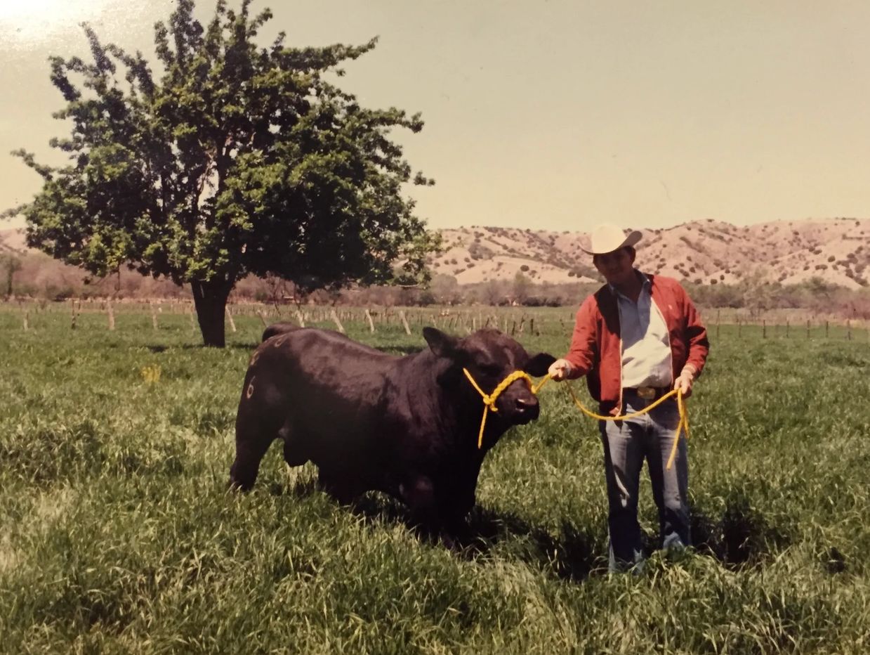 Man holding a bull in a grassy field with hills in the background.