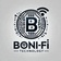 Boni-Fi Technology & Consulting