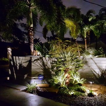 Transform your outdoor space with a clean, low-water landscape and landscape lighting.