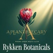 AplantheCary 
featuring 
Rykken botanicals
& 
Vintage Body Butter