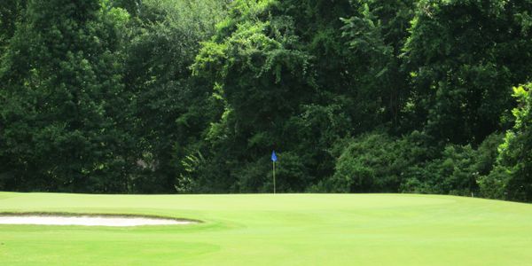 Golf Course Overview Panola Woods Country Club