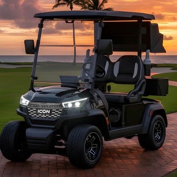 ICON I20x street legal golf cart, lithium battery RIDE Powersports in Columbus Ohio