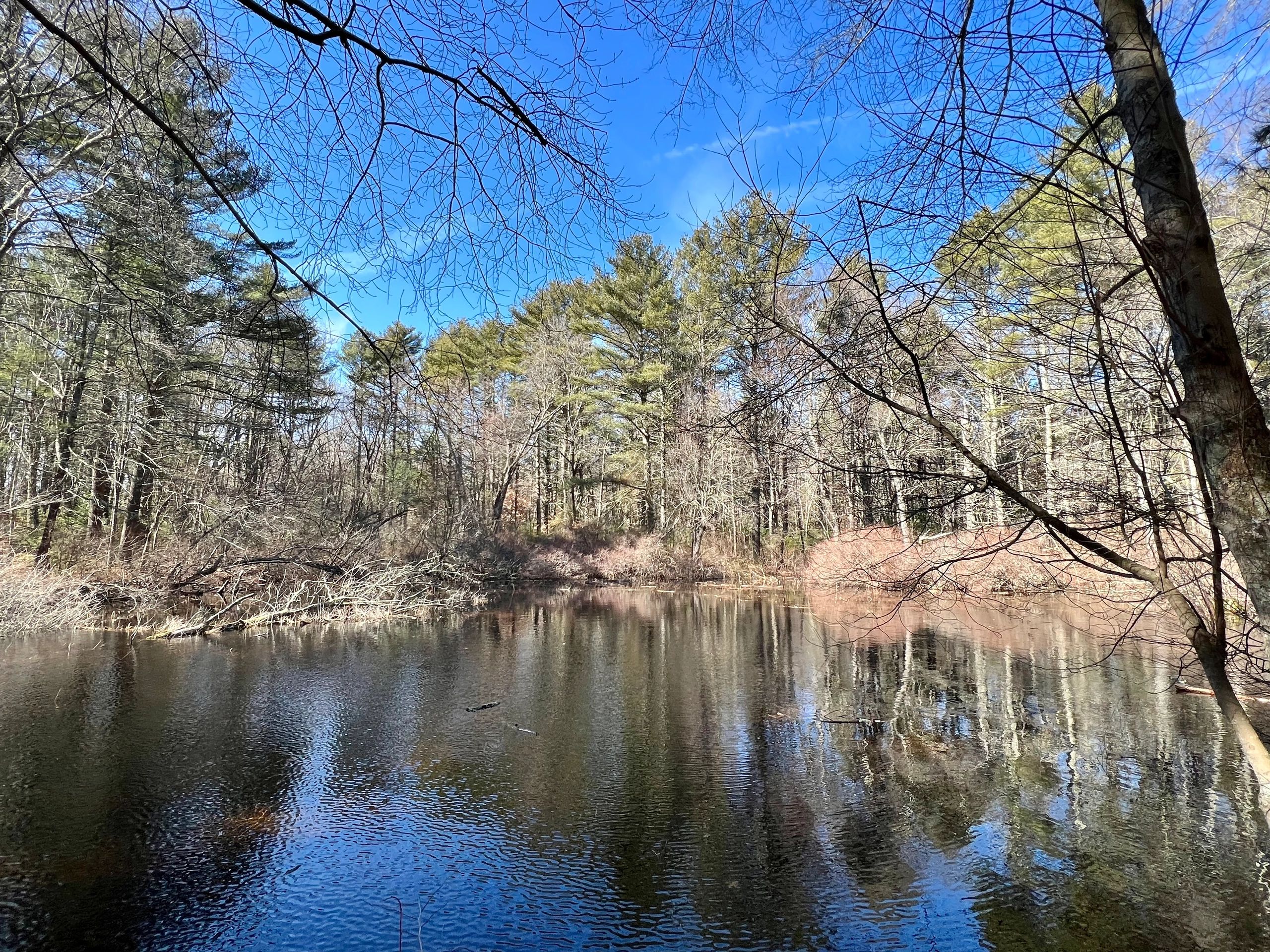 Land Preservation Society of Norton