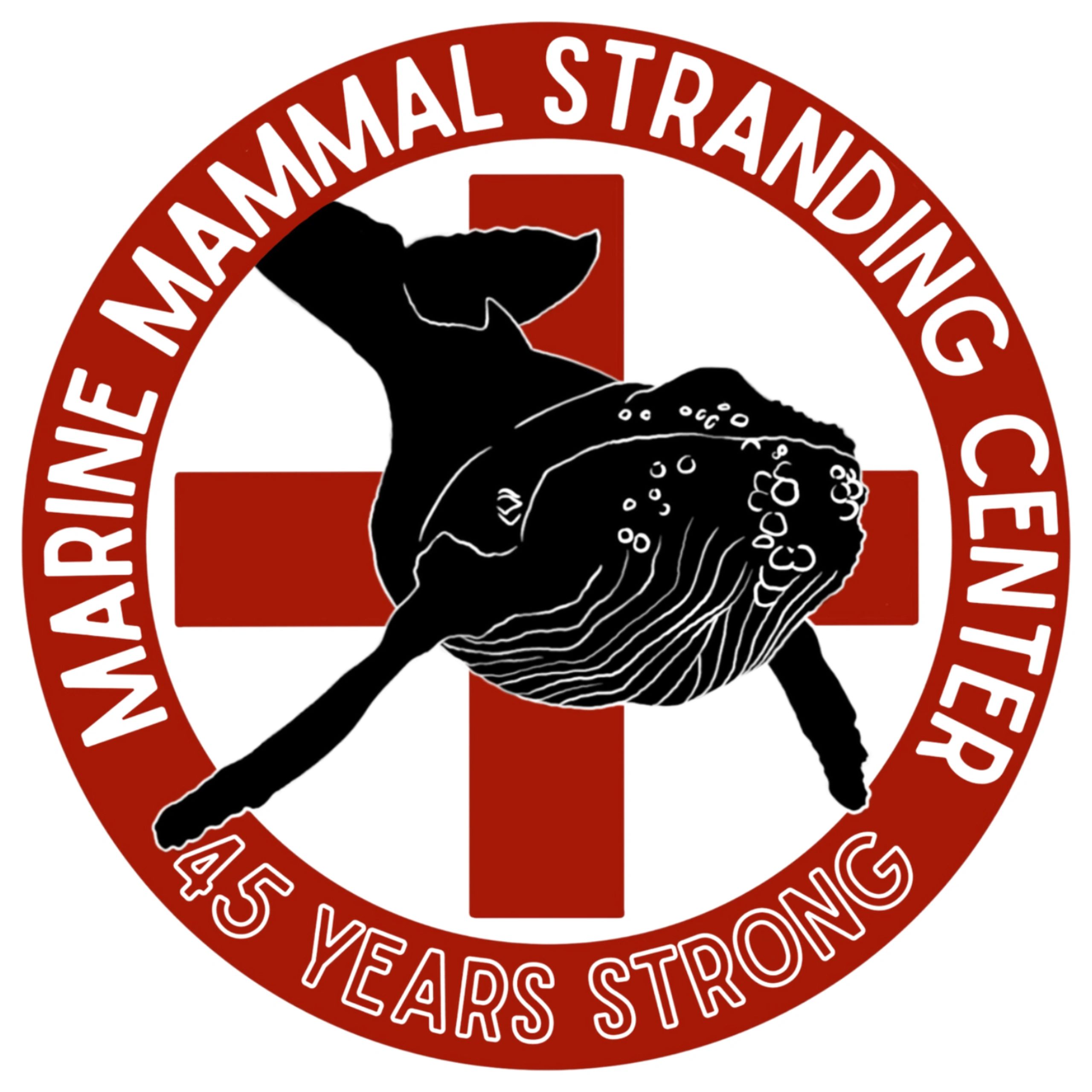 Straw Brush – The Marine Mammal Center Gift Store
