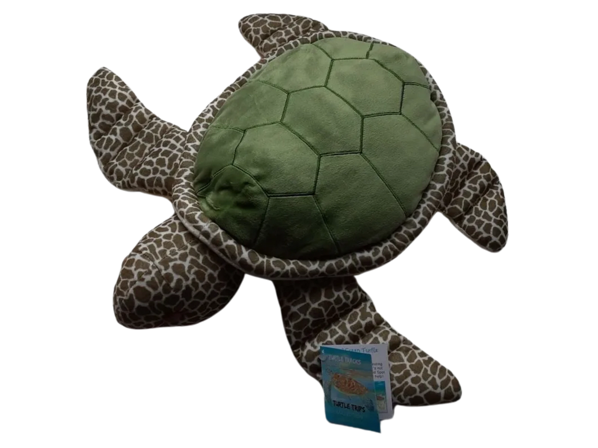 Gus the Green Turtle Plush Turtle Trips