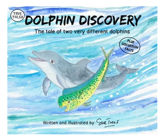 Dolphin Discovery Book