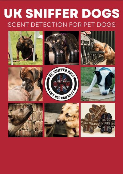Collage showing UK Sniffer Dogs for pet scent detection.