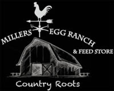 Millers-Egg-Ranch-Apple-Blossom-Village-Mt-Bethel-PA