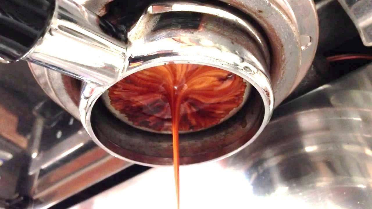 The Perfect Cup Cafe Best Coffee Hockessin, Delaware