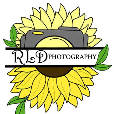 Yellow sunflower behind a grey camera with a banner across the middle that reads RLD Photography