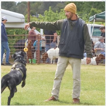 Dog trainer showing his dog at an event