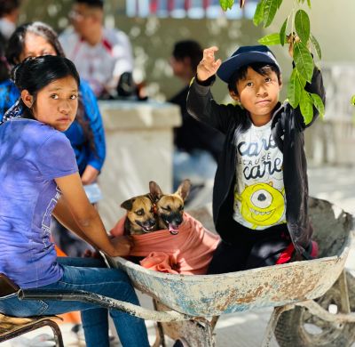 Niños jugando con dos perros en una carretilla.