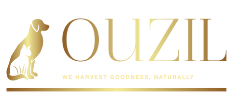 OUZIL