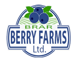 Brar Berry Farms