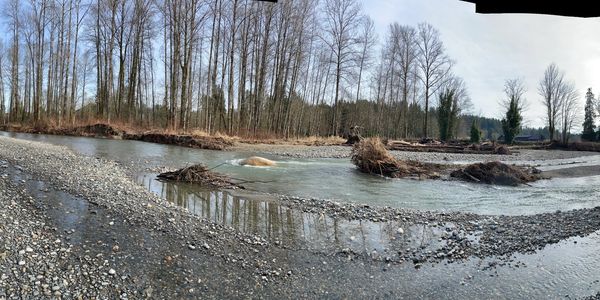 A calm river flows through a pebble-strewn landscape with leafless trees.