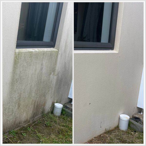 House exterior soft wash with chemical, no high pressure require.