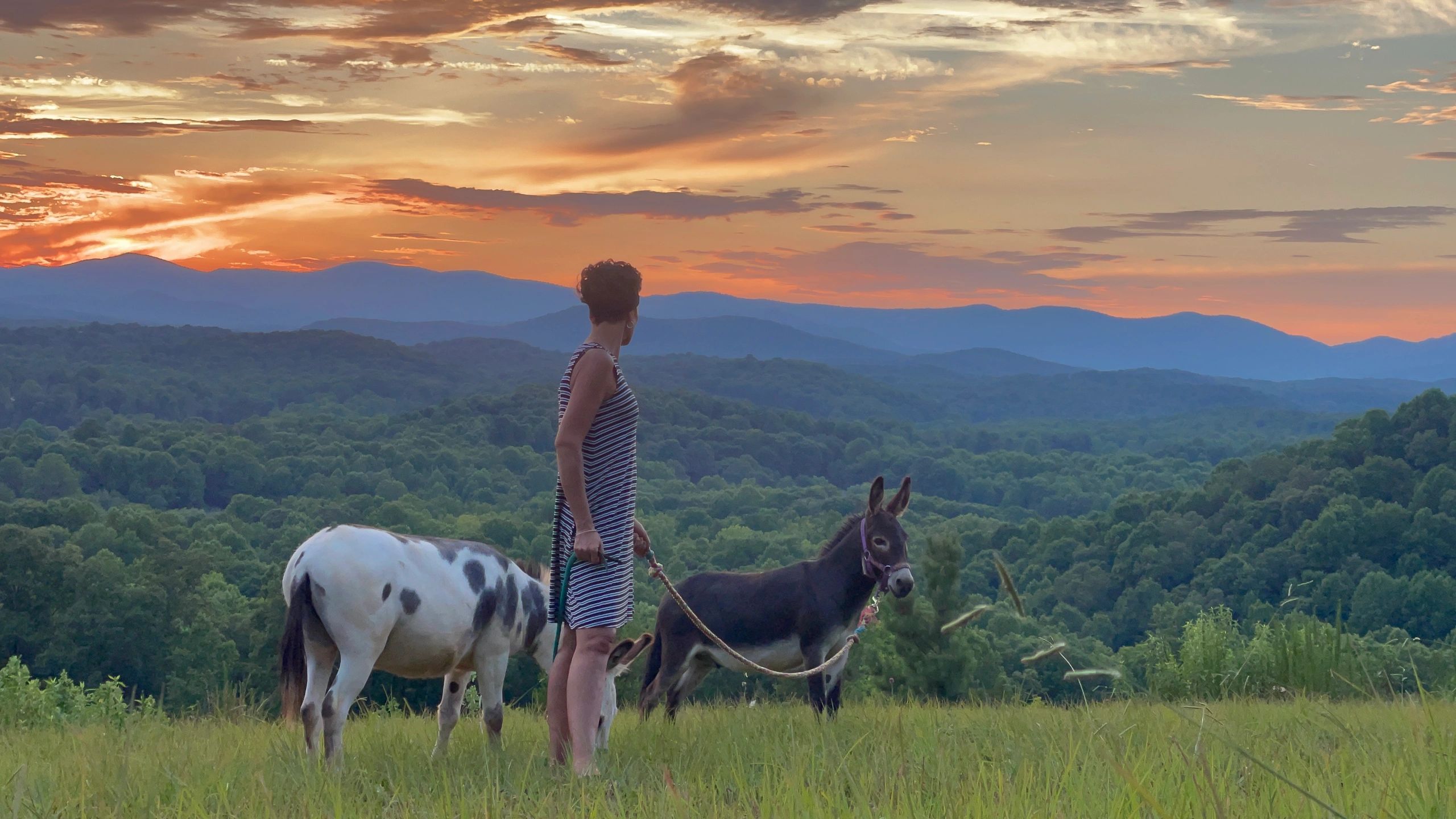 About Us