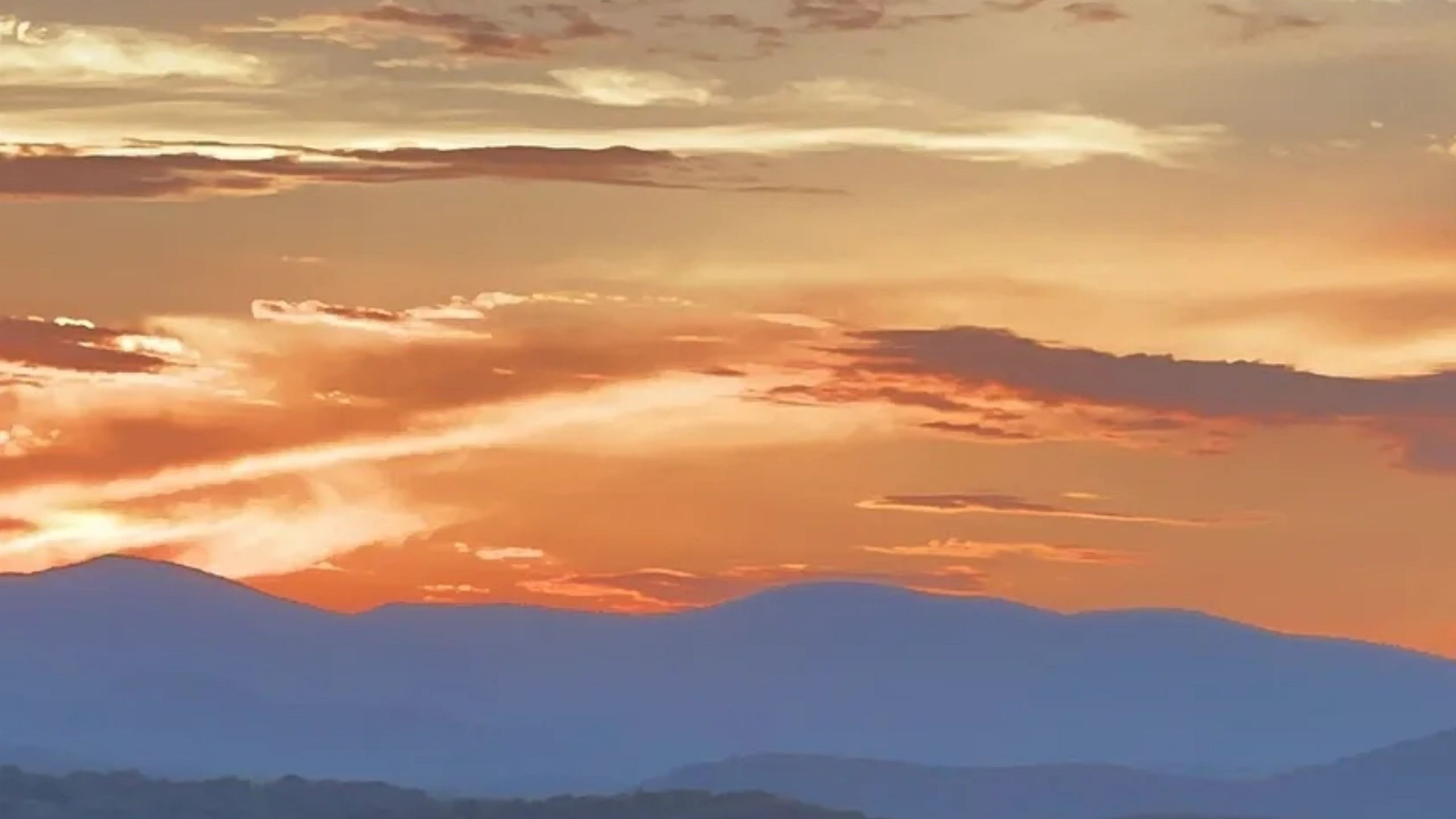 Dahlonega Healing Herds Sanctuary