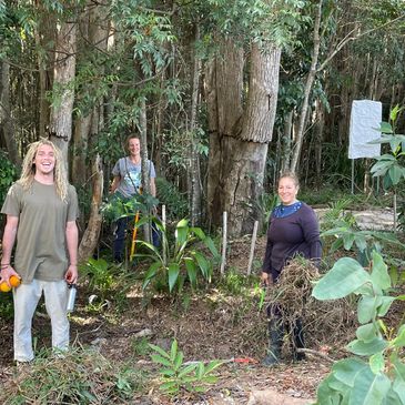 Some of the Organic Landcare team near Byron Bay doing ecological restoration